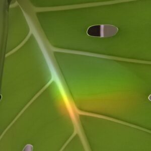 Książka 2